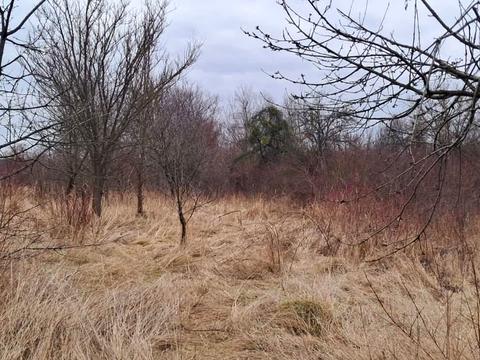 ділянка за адресою Центральна