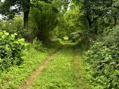 участок по адресу Филиппа Орлика ул.