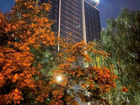 квартира за адресою Дегтярівська вул., 17 к1