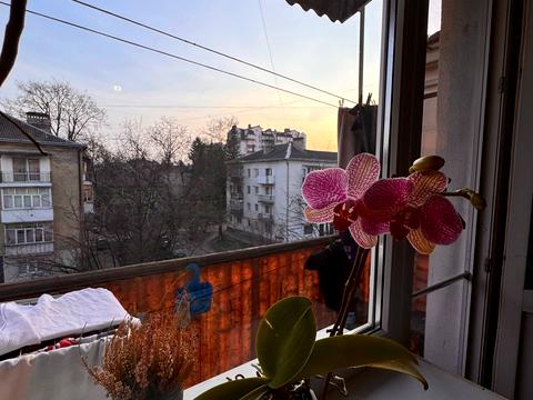 квартира за адресою Бельведерська вул., 52