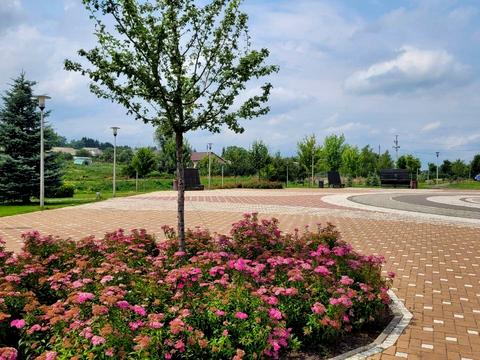 участок по адресу Хуторская ул. (Жовтнева)