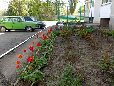 квартира за адресою Цвіткова, 2