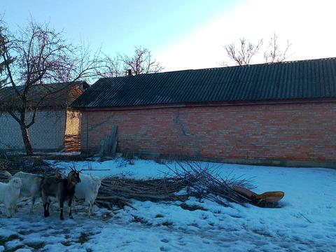 будинок за адресою Овечка