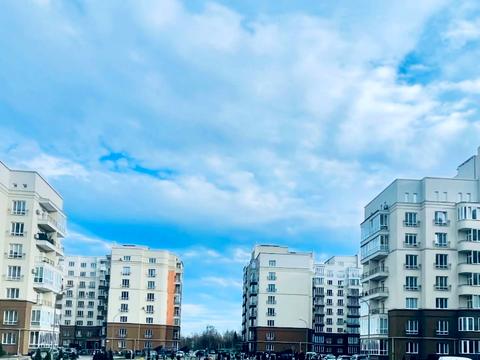 квартира по адресу Стрийская ул., 115-Е