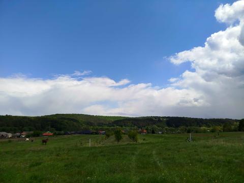 ділянка за адресою с. Раковець, 