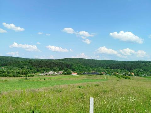 ділянка за адресою с. Раковець, 