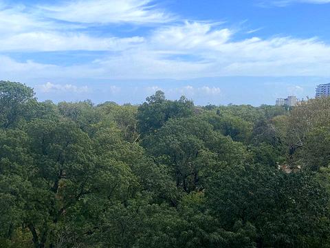 квартира за адресою Шевченка просп., 29/1