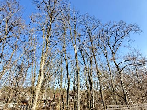 дом по адресу Мальовнича