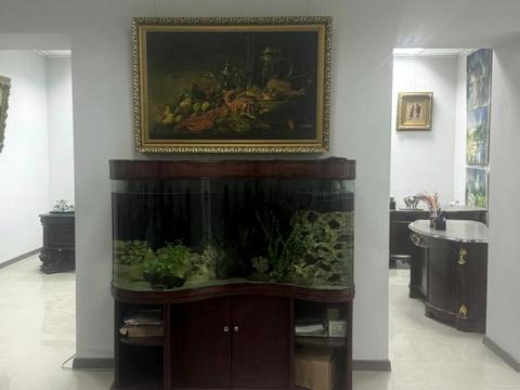 комерційна за адресою Максиміліанівська вул. (Ольминського), 7