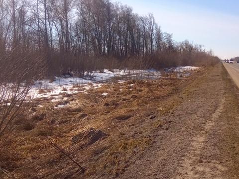 участок по адресу Лісова