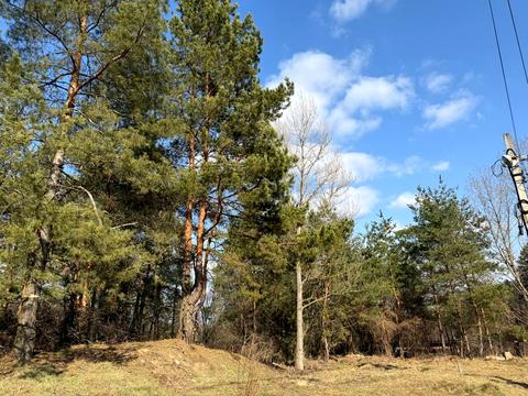 ділянка за адресою Дружби вул.