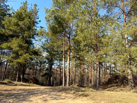 ділянка за адресою Дружби вул.