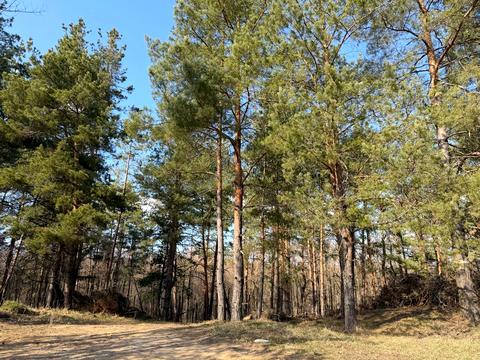 ділянка за адресою Дружби вул.