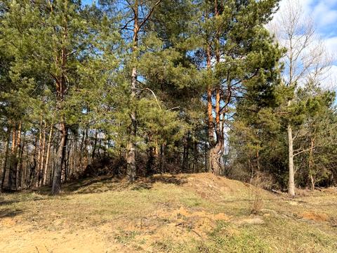 ділянка за адресою Дружби вул.