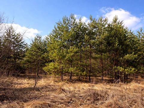 ділянка за адресою Дружби вул.
