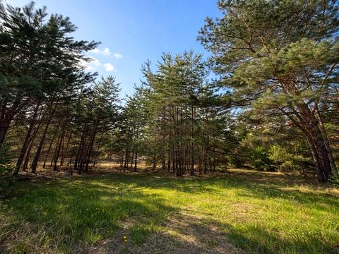 ділянка за адресою Дружби вул.