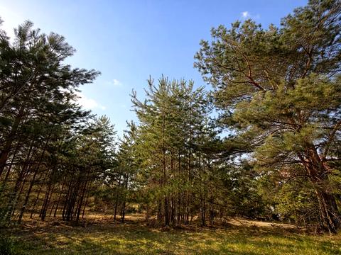 ділянка за адресою Дружби вул.