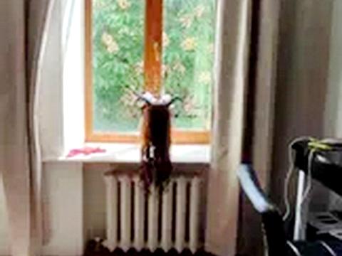 квартира за адресою Мала Арнаутська вул., 4