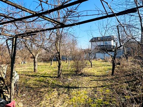 ділянка за адресою Виноградна