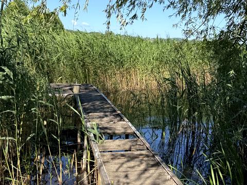 будинок за адресою 4 лінія