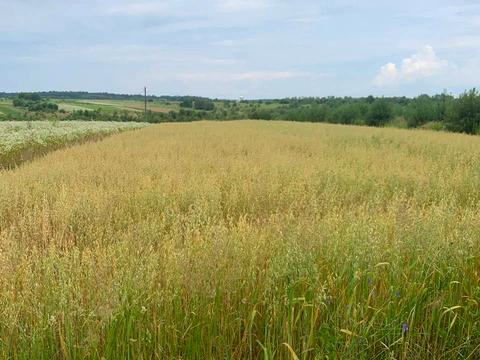 ділянка за адресою 