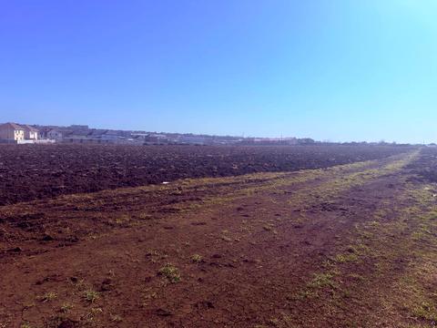 ділянка за адресою 14 поле