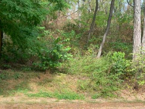 ділянка за адресою Київська