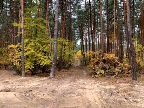 участок по адресу Киевская ул.