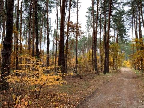 ділянка за адресою Київська вул.