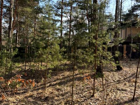 ділянка за адресою Спортивна вул., 32