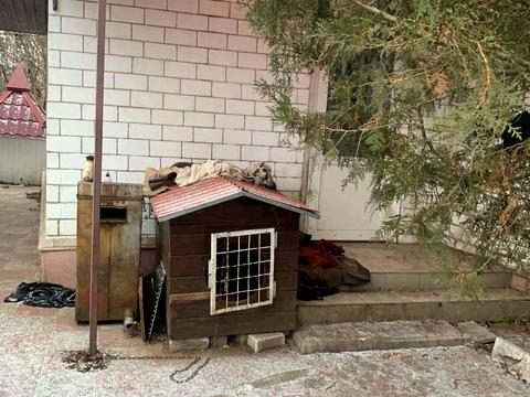 дом по адресу Нижняя Новоселовка, 7