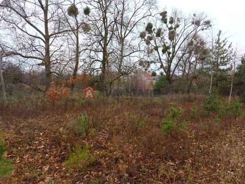 ділянка за адресою Соборна, 70