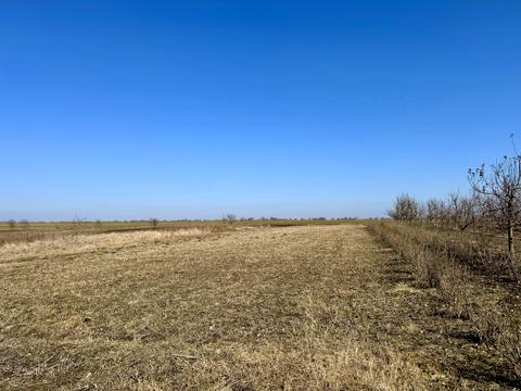 будинок за адресою Островського, 48