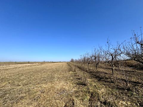 будинок за адресою Островського, 48