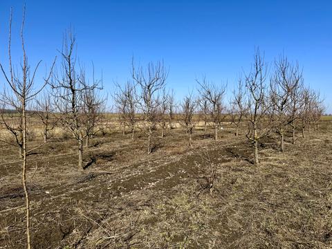 будинок за адресою Островського, 48