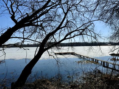 будинок за адресою Островського, 48