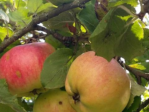 будинок за адресою Володимирська вул.