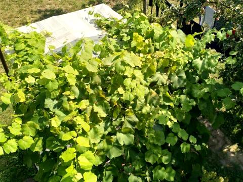 будинок за адресою Володимирська вул.