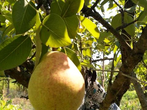 будинок за адресою Володимирська вул.