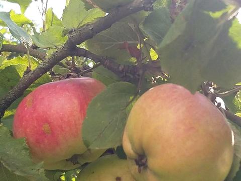 будинок за адресою Володимирська вул.