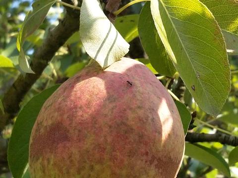 будинок за адресою Володимирська вул.