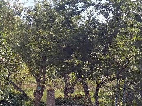 будинок за адресою Володимирська вул.