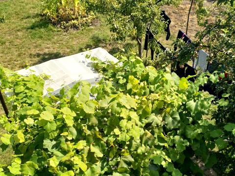 будинок за адресою Володимирська вул.