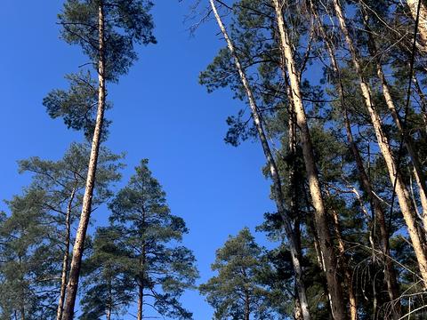 будинок за адресою Северинівська вул. (Жовтнева), 122