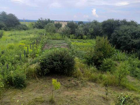 будинок за адресою с. Новосілки, Заозерна