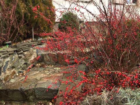 дом по адресу Центральная, 45