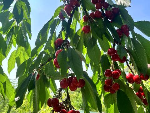 дом по адресу Центральная, 45