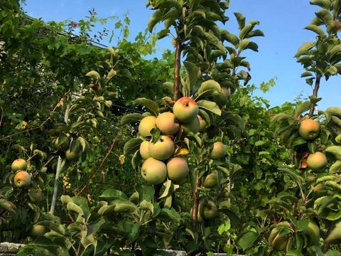 дом по адресу Центральная, 45