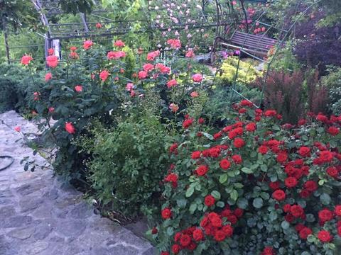 дом по адресу Центральная, 45