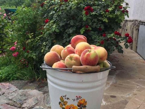 дом по адресу Центральная, 45